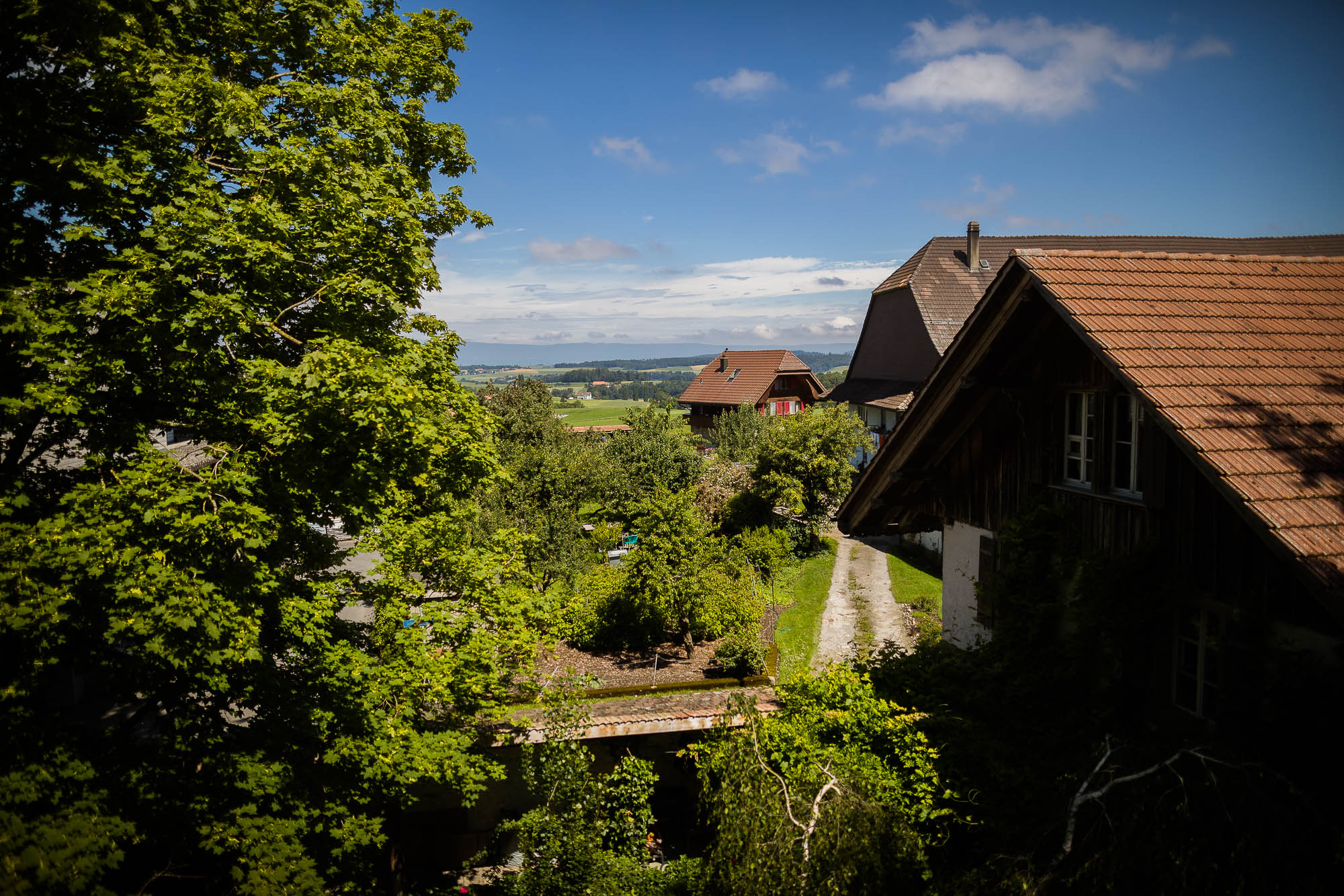 Export x3 1DX27025 Hochzeit 2020 Claudia & Marco